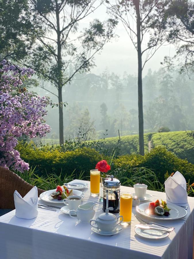 Ceylon Tea Trails - Relais And Chateaux ฮัตตอน ภายนอก รูปภาพ