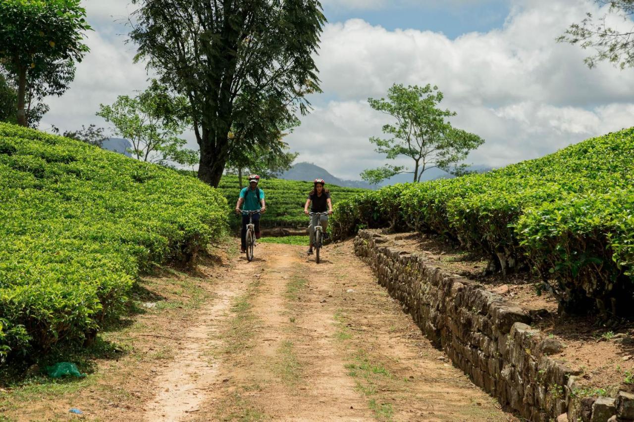 Ceylon Tea Trails - Relais And Chateaux ฮัตตอน ภายนอก รูปภาพ
