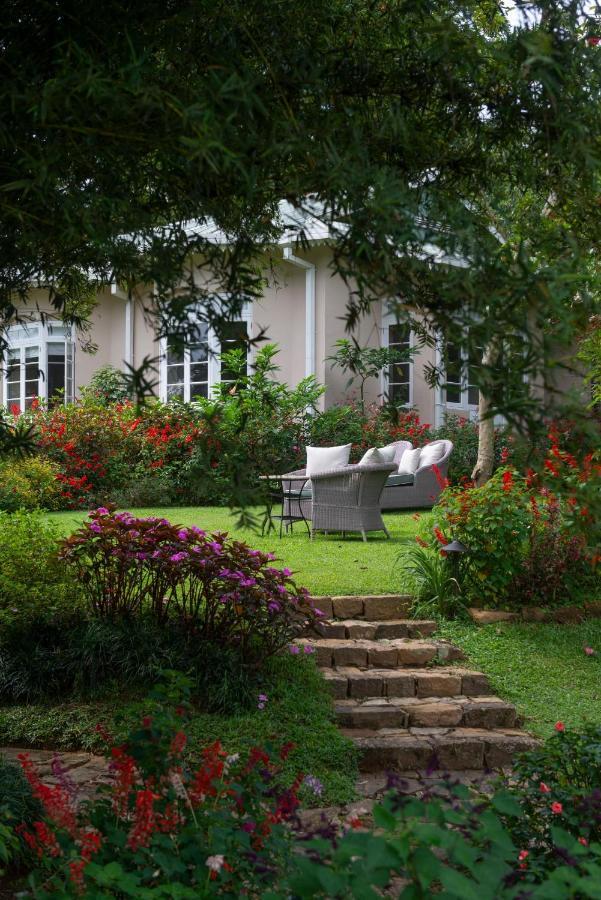 Ceylon Tea Trails - Relais And Chateaux ฮัตตอน ภายนอก รูปภาพ